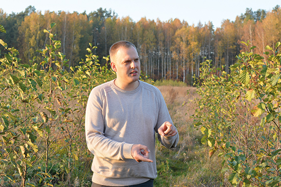 sprindziunas