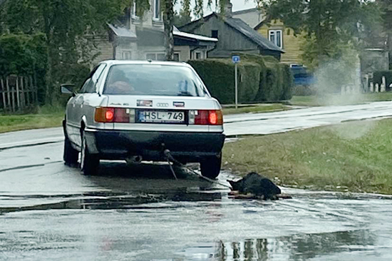 suo velkamas