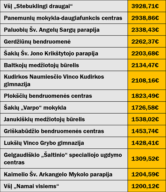 vmi rezultatai
