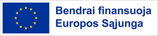 es finansuoja logo