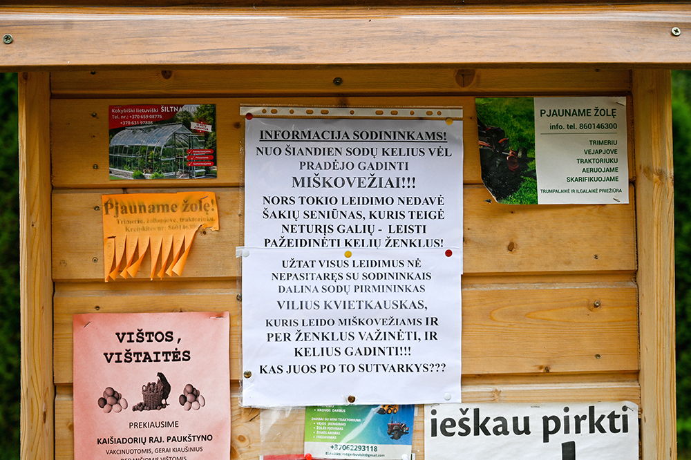 sodai malkos4